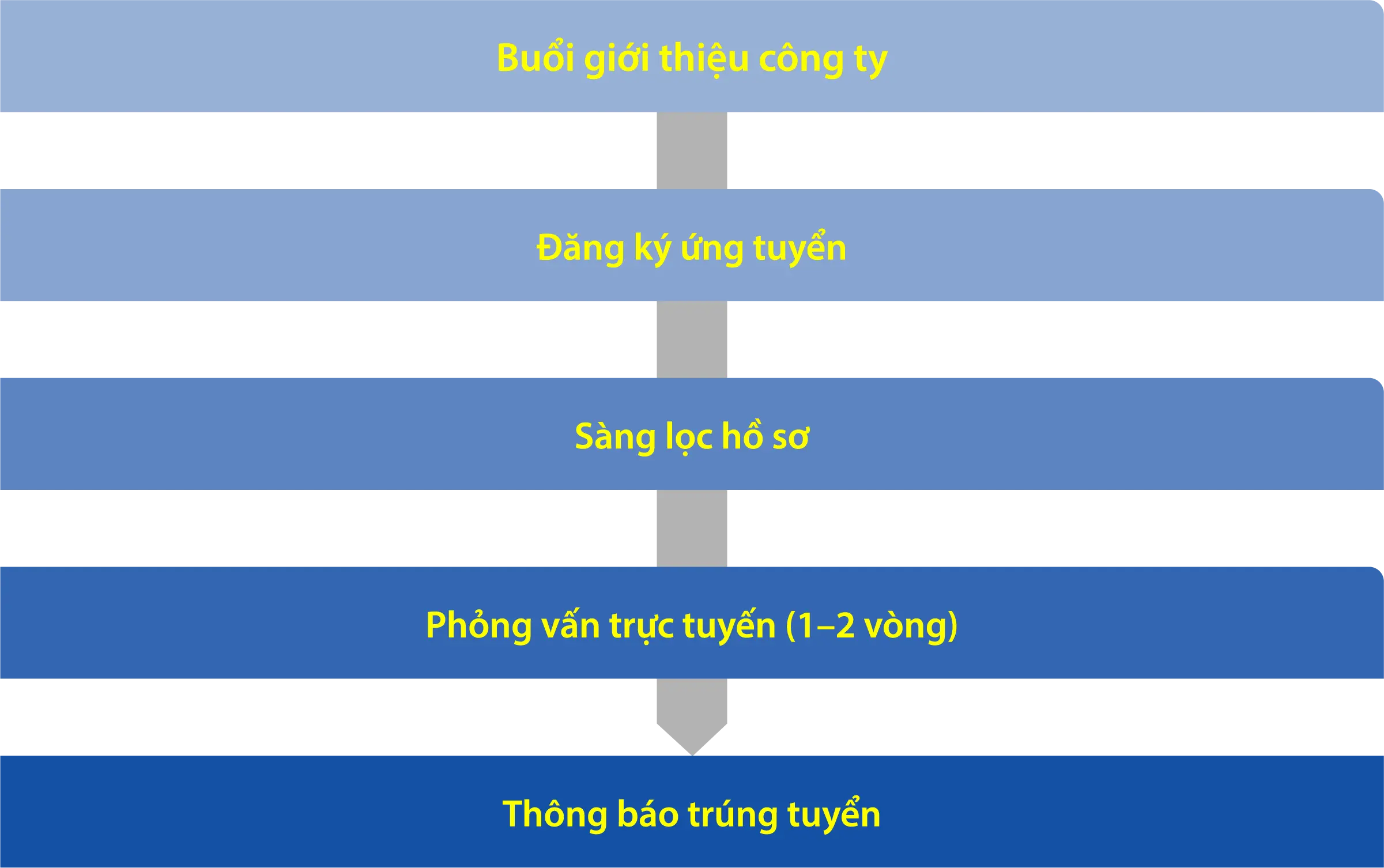 Quy trình tuyển chọn